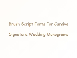 Refined Brush Script Fonts for Wedding Monograms