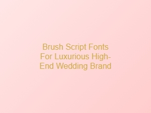 Elegant Brush Script Fonts for a Luxury Wedding Brand